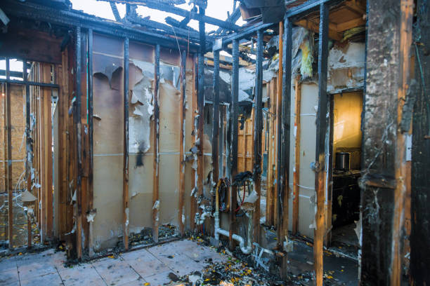 Professional Fire Damage Removal technician working in Sea Cliff, NY
